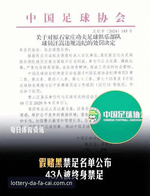 2026大发彩票手机客户端 中国足协第三批禁足名单深度评测:行业震荡下的足球生态重构